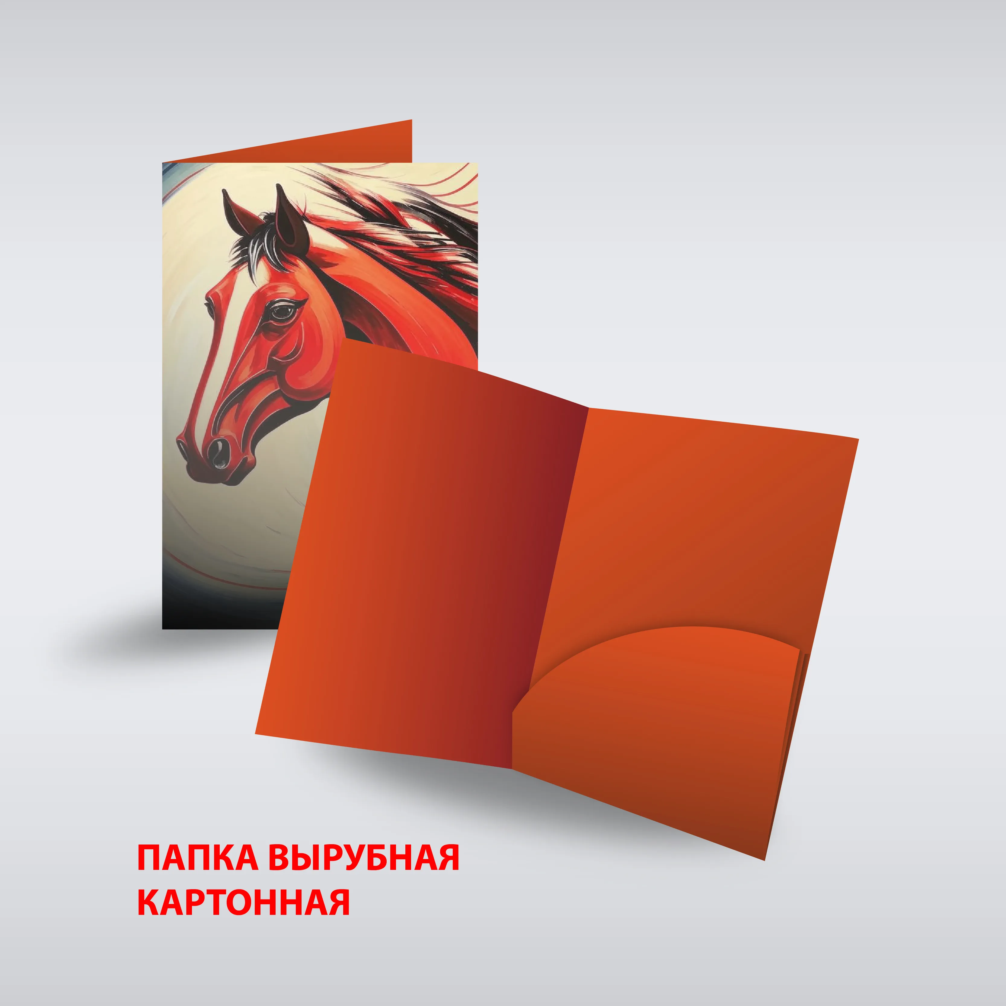 Папки эконом