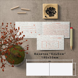 Визитка "Альбом" 100х90