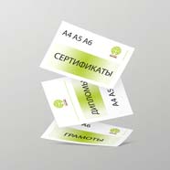 Дипломы